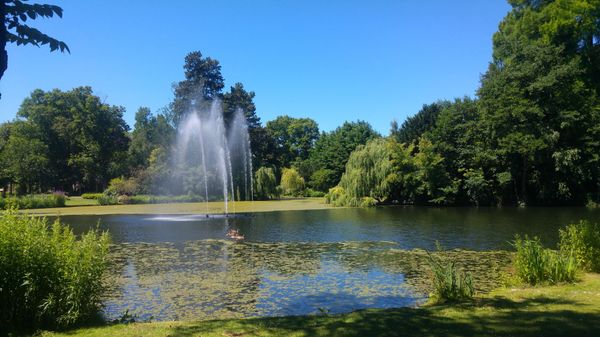 Grüne Oase der Ruhe