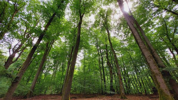 UNESCO Welterbe erkunden