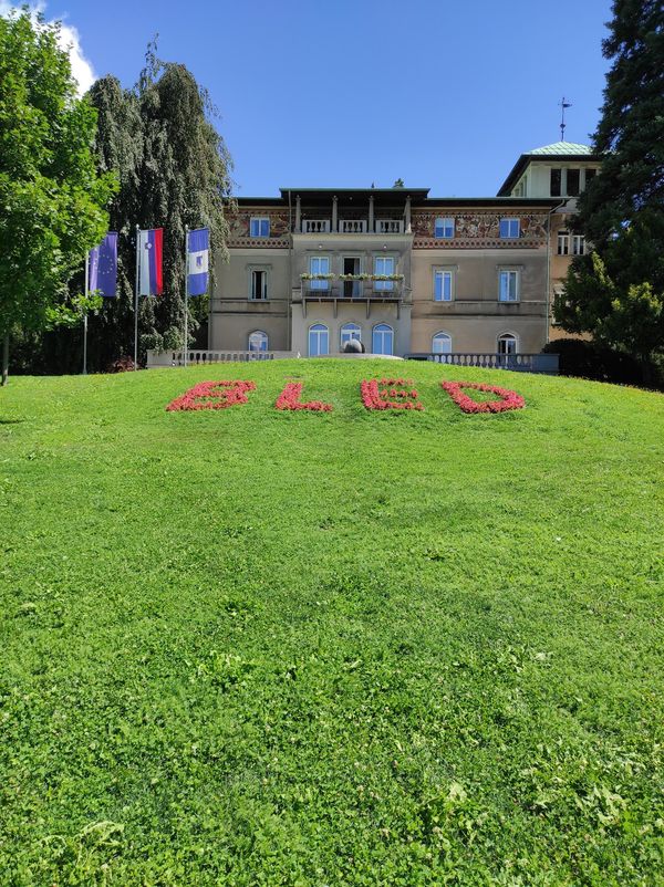 Lernreiche Naturerfahrung in den Feuchtgebieten