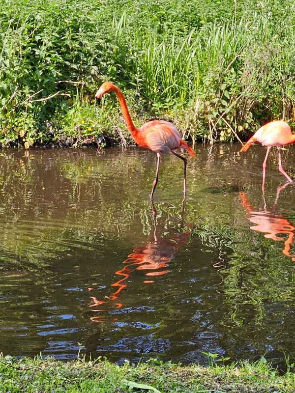 Tierische Abenteuer für die ganze Familie