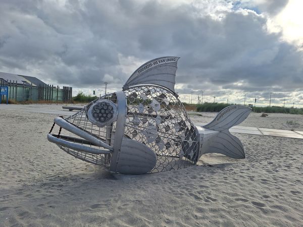 Amsterdams Strandparadies entdecken