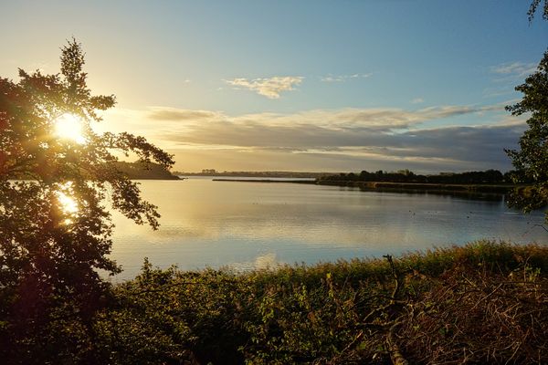 Natur pur an der Schlei erleben