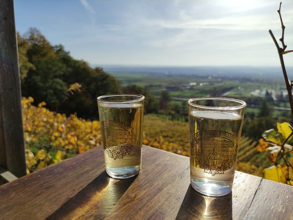 Zwischen Reben wandern