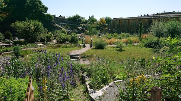 Ein grünes Paradies der Pflanzenwelt