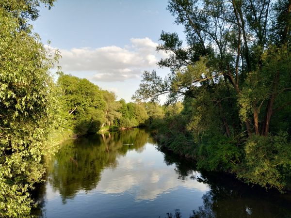 Idyllische Fahrradtour an der Leinebrücke