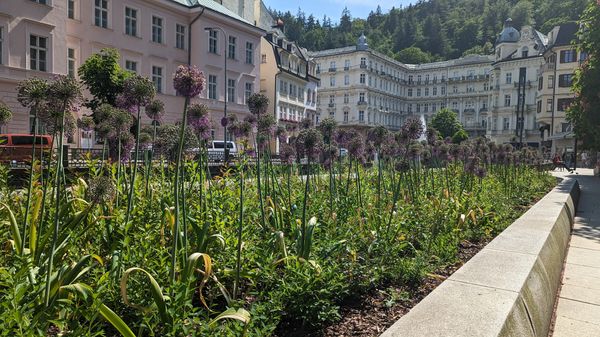 Paradies für Motorradfans und Historiker