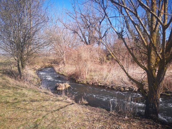 Naturerlebnis am Stadtrand