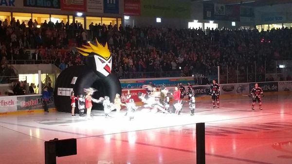 Mit den Pinguins Eishockey fiebern