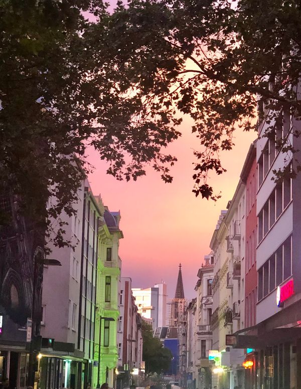 Erkunde trendige Shops und Cafés