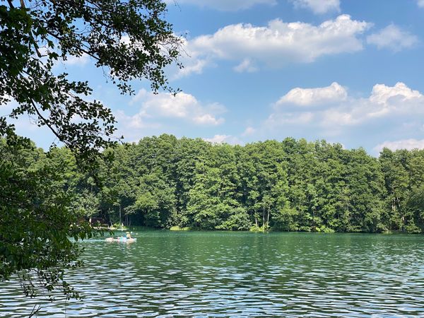 Kristallklares Wasser inmitten üppiger Wälder