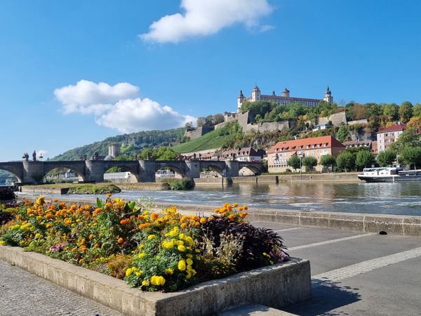 Mit Wein den Blick genießen: Alte Mainbrücke