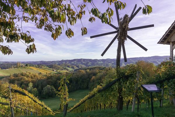 Entspannte Tour mit dem Weinbergbummler