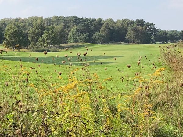 Abschlag in malerischer Umgebung