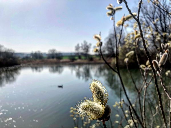 Atemberaubende Naturerlebnisse in der Schweiz