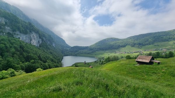 Idyllisches Badeerlebnis in der Natur
