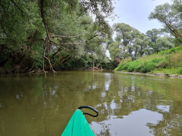 Abenteuer auf dem Wasser