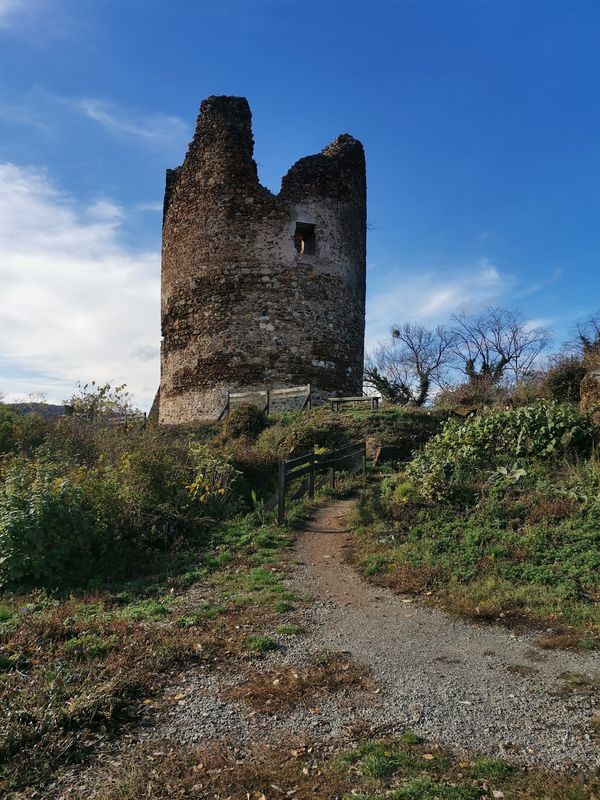 Naturparadies vor den Toren der Stadt