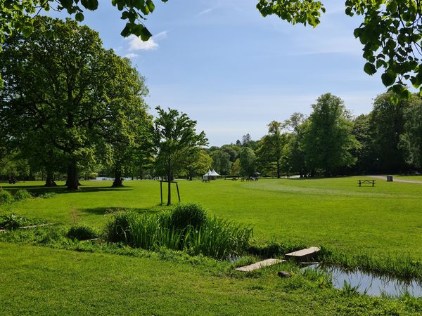 Grüne Oase in der Stadt