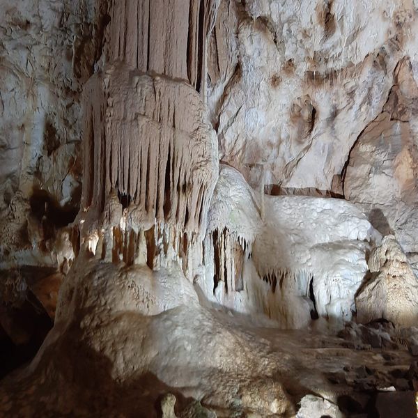 Entdecke die geheimnisvolle Bärenhöhle