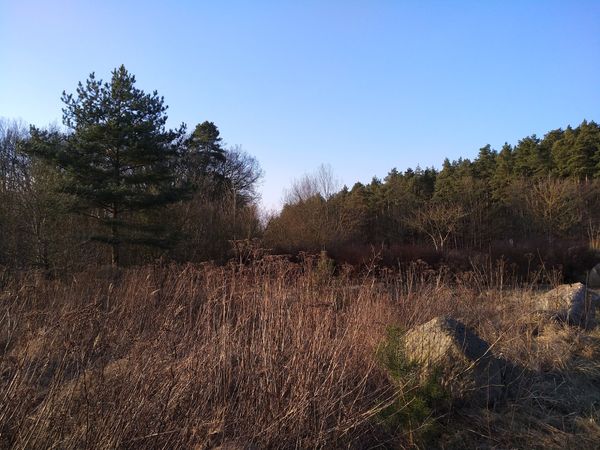 Adrenalin pur auf zwei Rädern