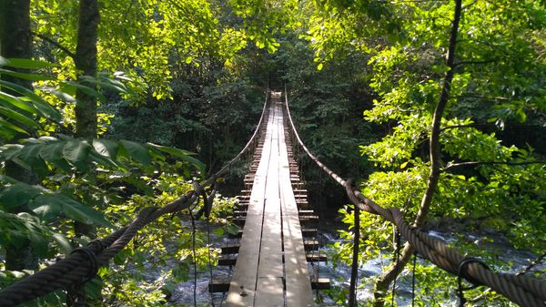 Abenteuer in Georgiens Wildnis