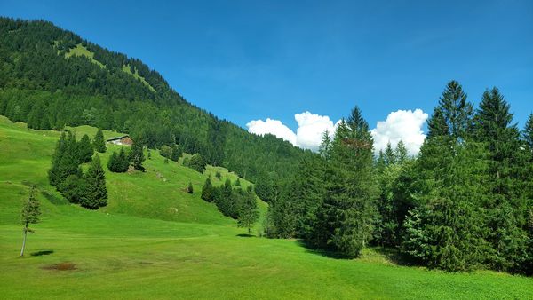 Ihr Tor zum Bregenzerwald Erlebnis