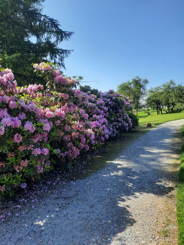 Entspannen im malerischen Vorwerkpark