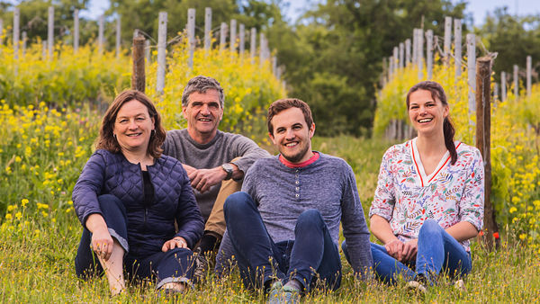 Erlesene Weine in malerischer Umgebung verkosten