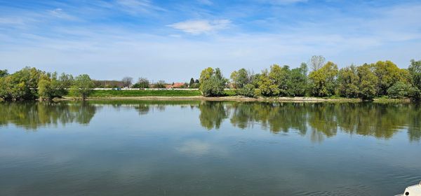 Spaziergang entlang der Drava