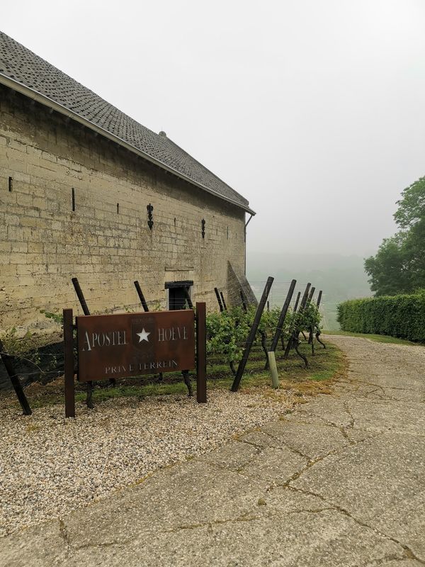 Weinverkostung mit Aussicht