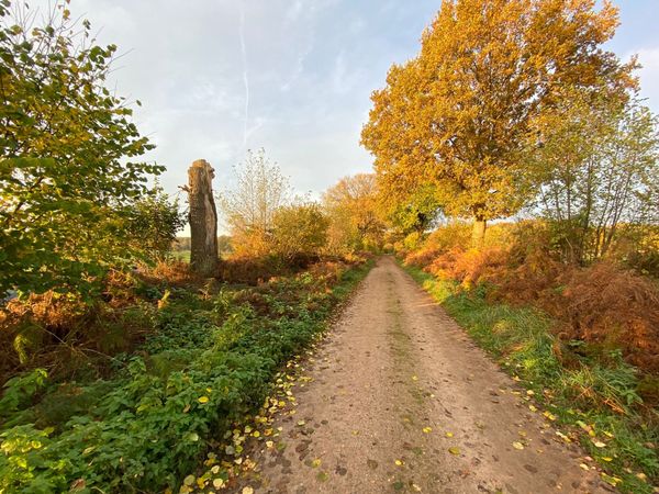 Grüne Oase nahe der Stadt