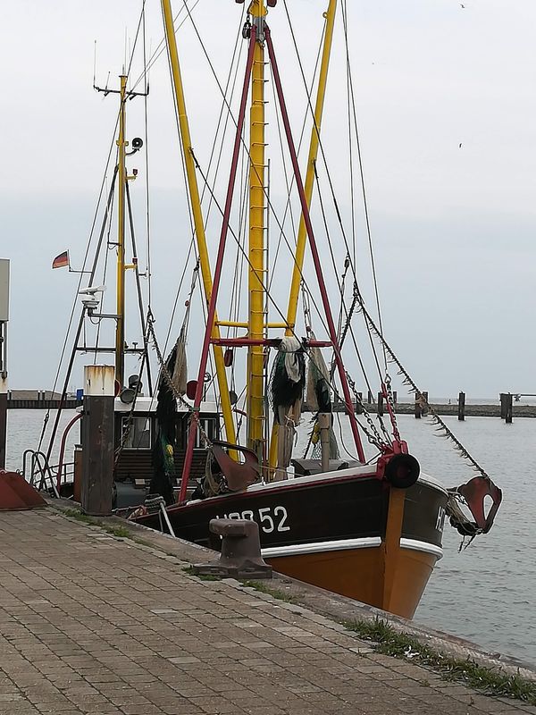 Malersiche Kulisse am Hafen genießen