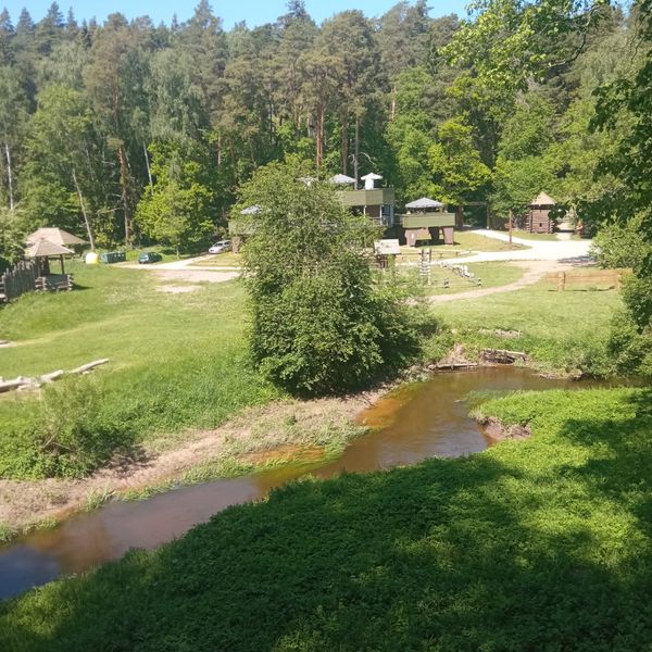 Märchenwald mit Elfen und Hexenhäusern