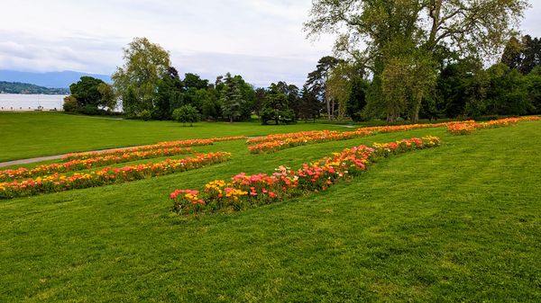 Größter Rosengarten Genfs