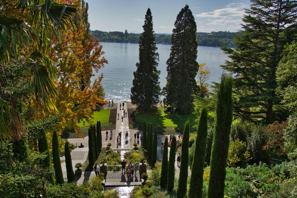 Ein Paradies aus Blumen und Schmetterlingen