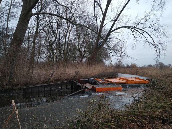 Natur pur mit Schwimm- & Genussmöglichkeiten