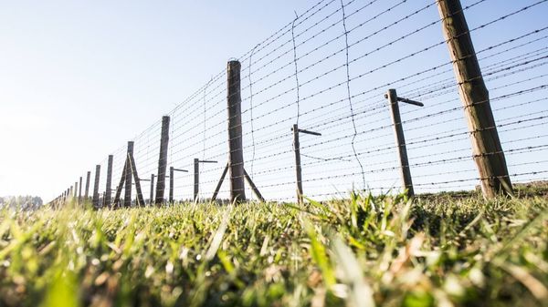 Bewegende Geschichte verstehen