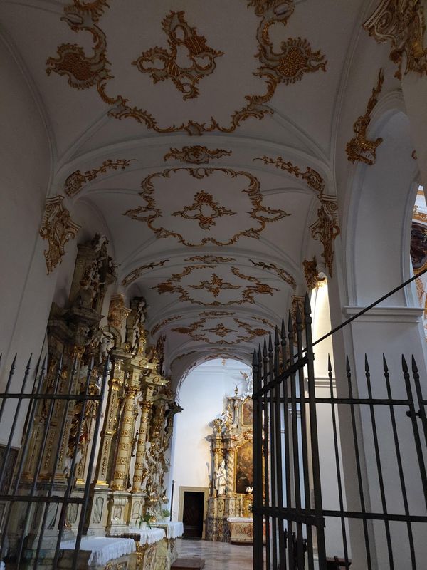 Bewundere die barocke Pracht inmitten der Altstadt