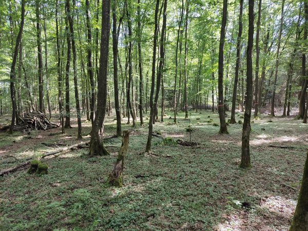 Märchenhafte Radtour