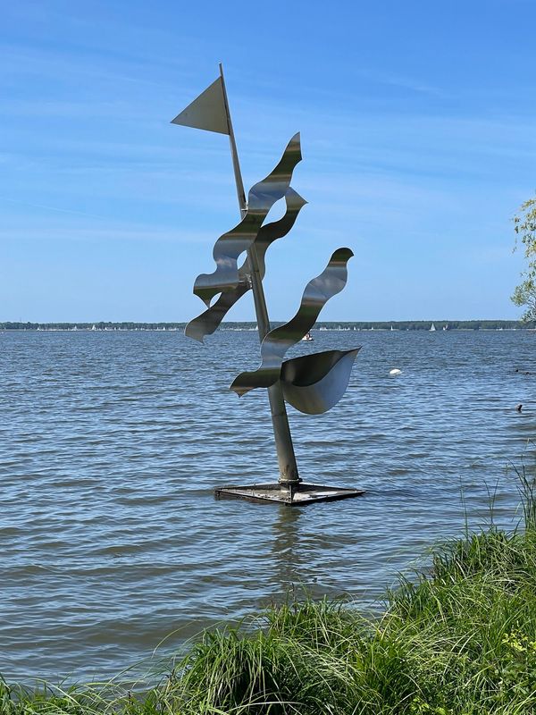 Segel- und Naturerlebnis am größten Binnensee Niedersachsens