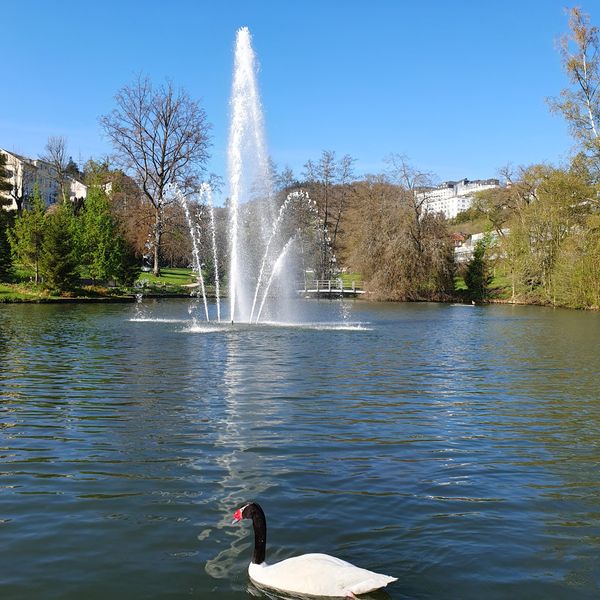 Historische Spaziergänge im Kurpark