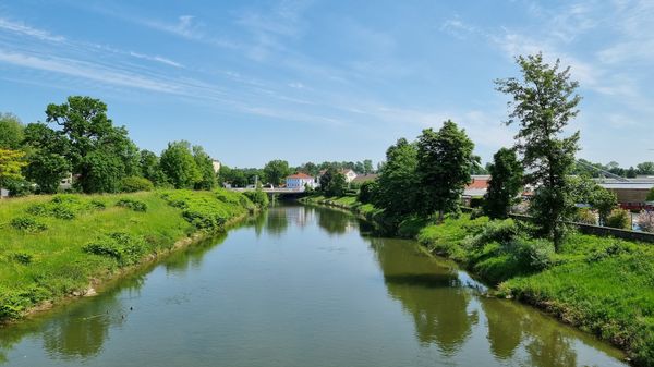 Grüne Oase der Ruhe