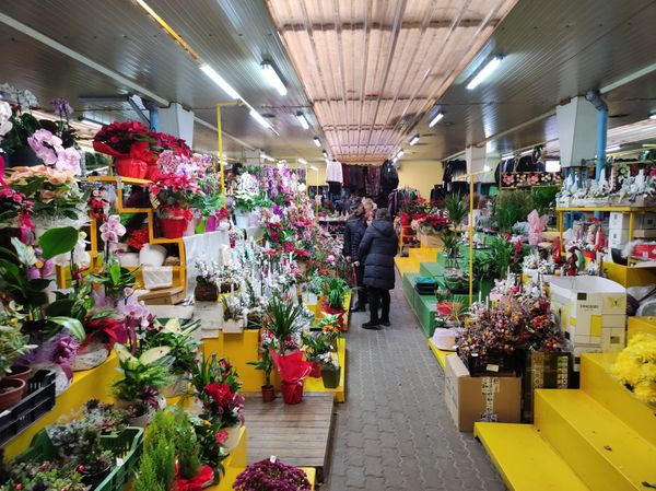 Frische Produkte & lokale Spezialitäten