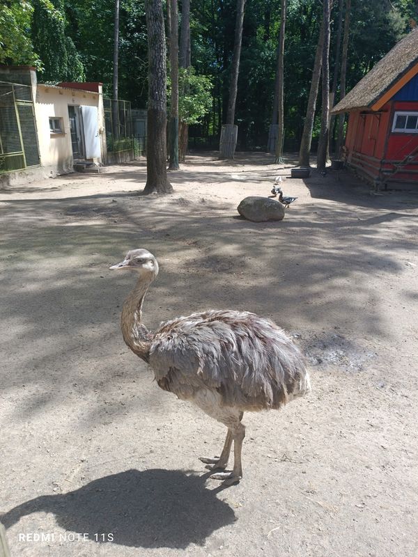 Tierische Entdeckungen