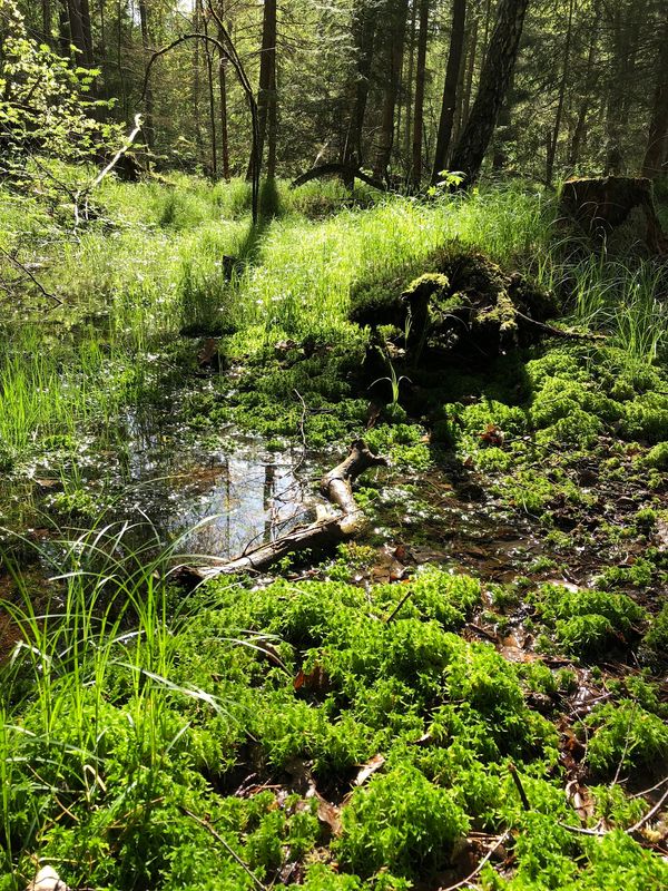 Naturerlebnis für Kids