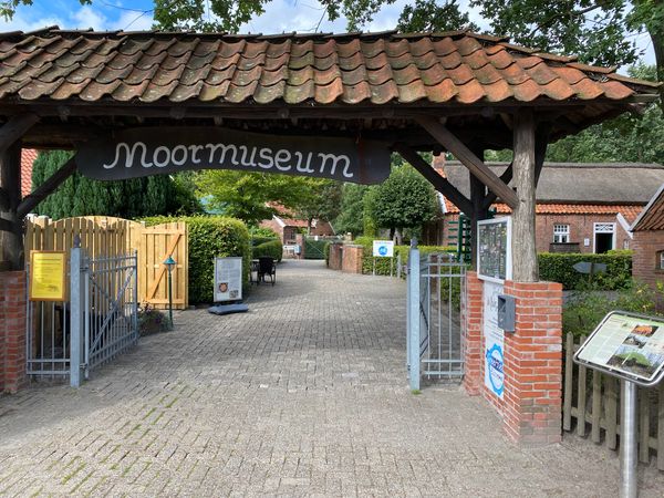 Spannende Einblicke in die Moorlandschaften