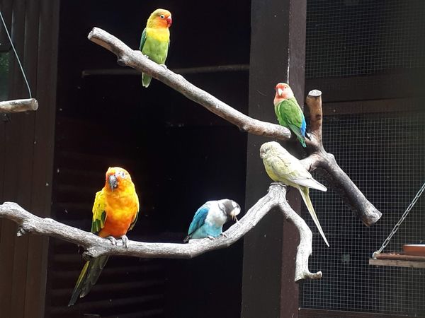 Tierische Begegnungen auf dem Klieversberg