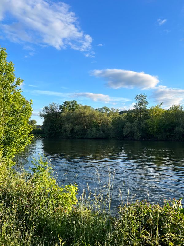 Chillen & Grillen am Fluss