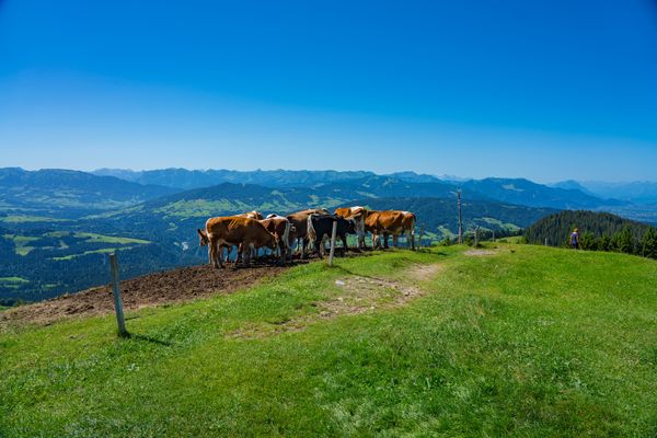 Atemberaubende Aussicht vom Hausberg