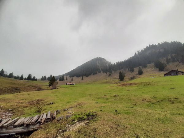Übernachte fast wie im Baumhaus